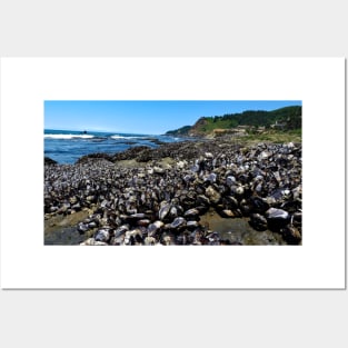 Otter Crest Beach Oregon Posters and Art